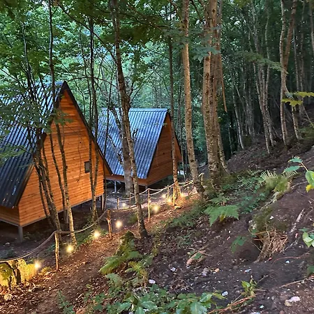 Вилла Forest Escape