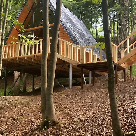 Forest Escape Villa
