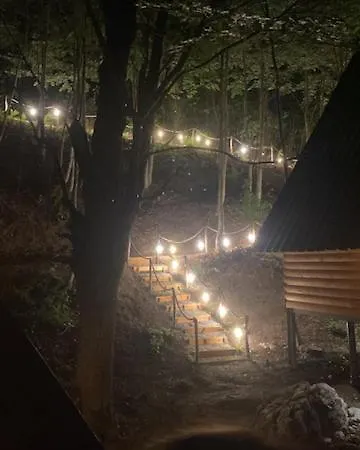 Forest Escape *
