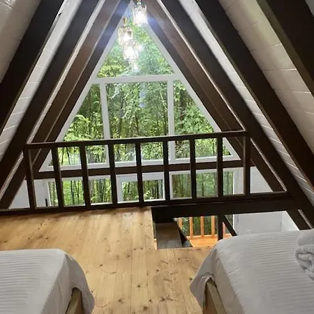 Villa Forest Escape *