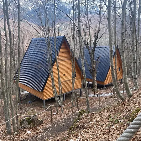 Villa Forest Escape *