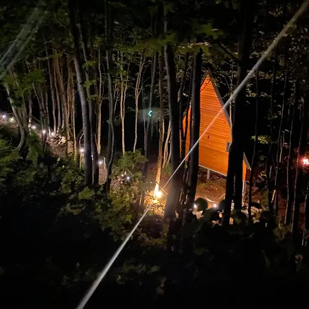 Forest Escape * ثيث